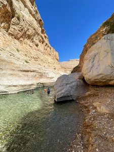 Wadi Bani Khalid | ©Alice Caprotti