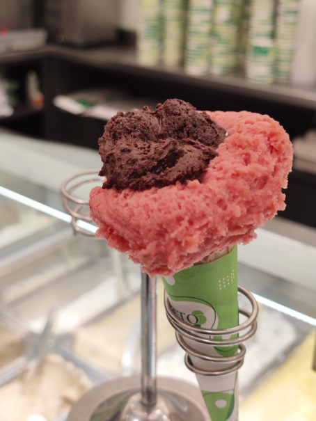 Gelaterie opzioni vegane